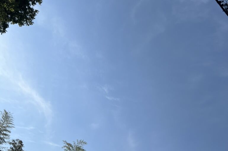 S__61014063